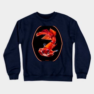 fish, cute fish, free fish, coral fish, fish coral, goldfish, pez, peces, pez colar, peces coral Crewneck Sweatshirt